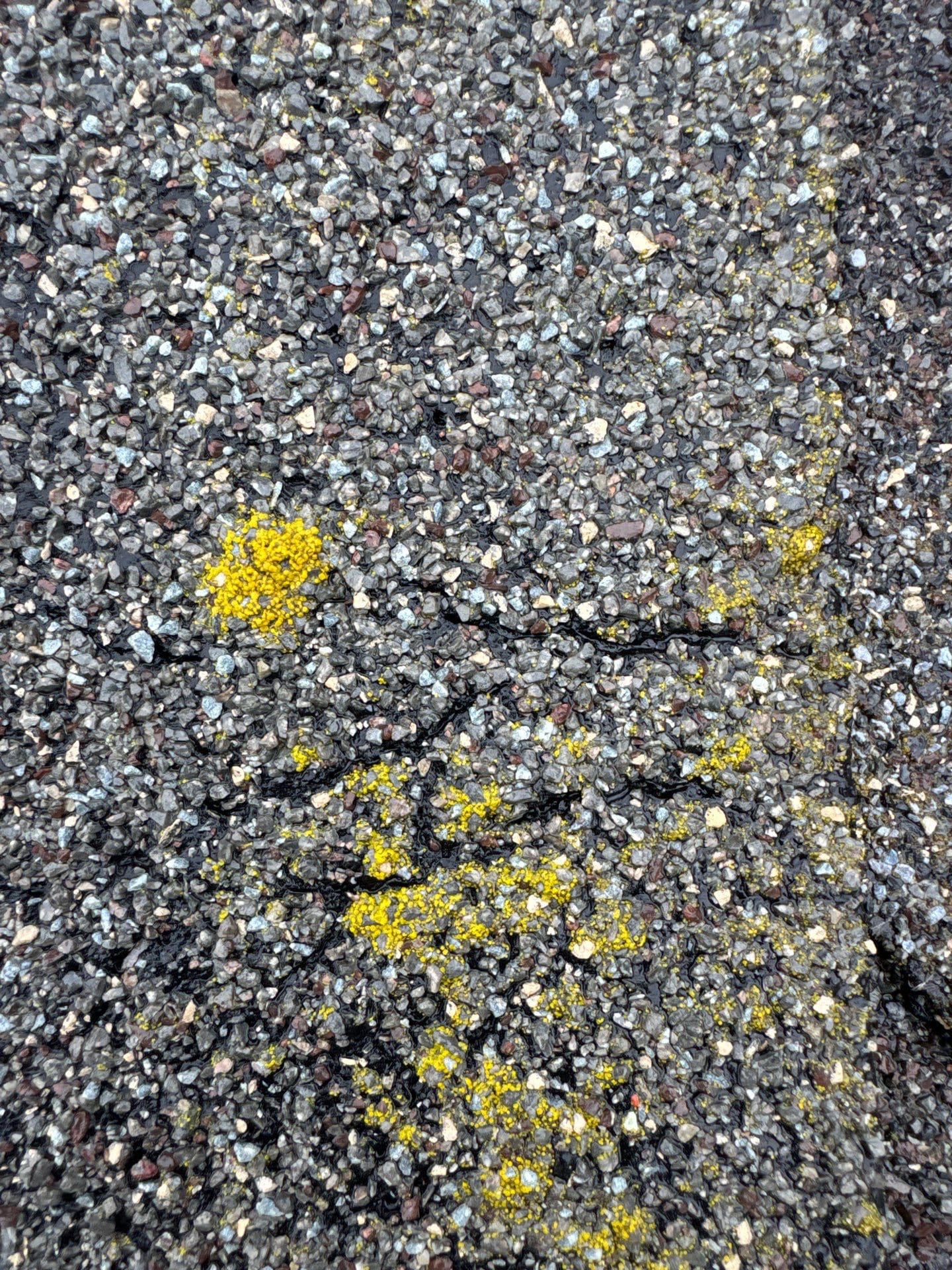Aging shingles with visible moss growth before repair