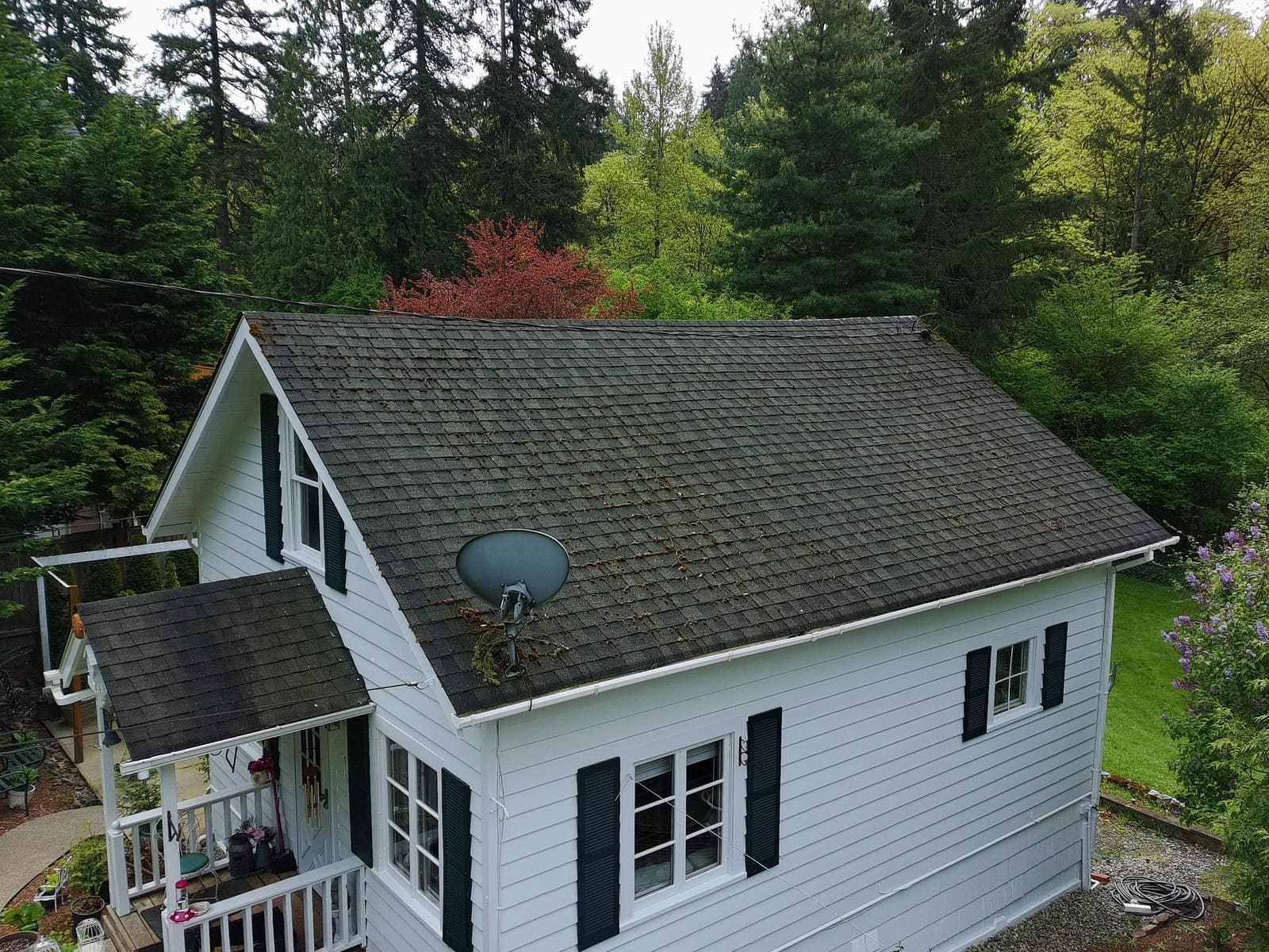 Roof with visible moss growth before cleaning